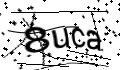 Click to refresh image